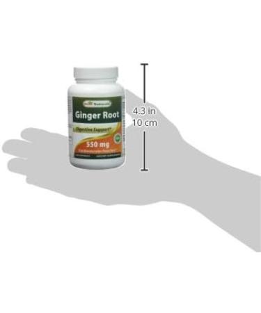 Best Naturals Ginger Root Capsules 550mg - 120 Count - Nausea & Motion Sickness Relief Supplement - Buy Online on GoSupps.com