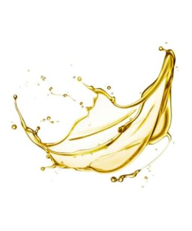 100% Pure Argan Oil (Dark Chocolate & Vanilla) - Organic Natural Hydrating Oil with Antioxidants & Vitamin E for Skin Nourishment (50ml/1.7oz - Buy Online on GoSupps.com