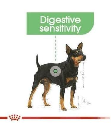 Royal Canin Digestive Care Adult Wet Dog Food 85g (Pack of 24) - Buy Online on GoSupps.com