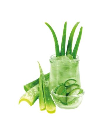 Buy Cuddly Soft Fabric Softener with Aloe Vera - Dermatologically Tested Eco-Friendly 1L for Up to 38 Washes - Buy Online on GoSupps.com