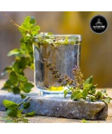 Organic Holy Basil Powder (Tulsi) - 5lbs (80oz) | Naturevibe Botanicals - Buy Online on GoSupps.com