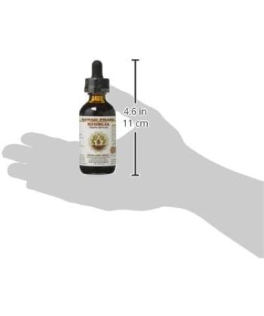 Kigelia Alcohol-Free Liquid Extract - 2 oz Glycerite Herbal Supplement - Buy Online on GoSupps.com
