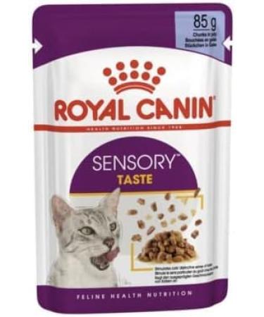 Royal Canin Sensory Taste in Jelly Wet Cat Food 85g (Pack of 48)