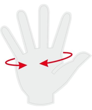 Buy Bad Company Fitness Gloves | Leather Training Gloves with Wrist Support for Strong Grip | International Shipping Available - Buy Online on GoSupps.com