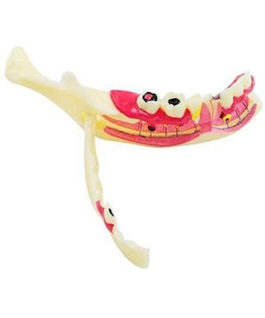 DYTAH Model of Pathological Teeth Right Decomposition Mandible The Oral Communication Model Sciences