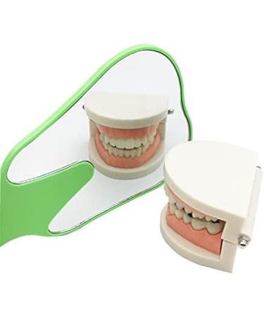 MrHugoo 7-Piece Tooth Shaped Handheld Makeup Mirror Set - Colorful Plastic Dental Mirrors - Buy Online on GoSupps.com