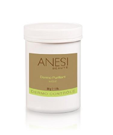 ANESI DERMO CONTROLE MASQUE DERMO PURIFIANT dermo-respiratory mask 500 g