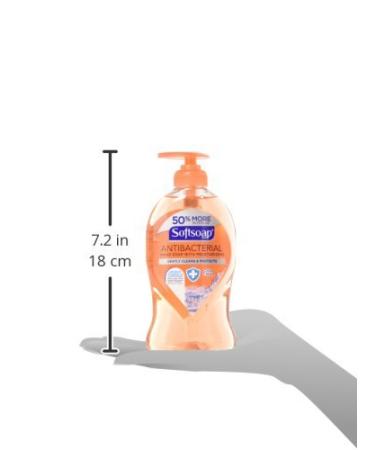 Buy Softsoap Crisp Clean Scent Antibacterial Liquid Hand Soap 11.25 oz Fast International Shipping - Buy Online on GoSupps.com