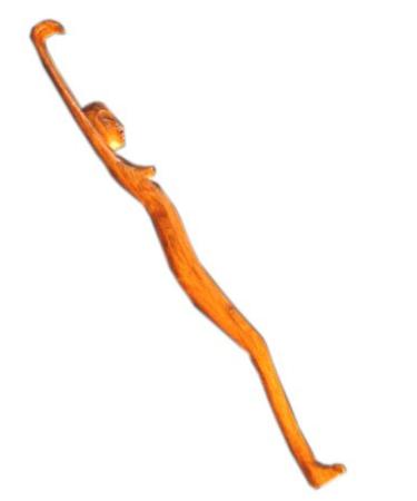 Unknown back scratcher woman wooden scratching hand