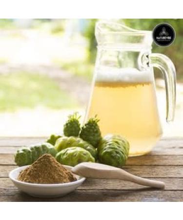 Naturevibe Botanicals Noni Fruit Powder 2lbs - 100% Pure Morinda Citrifolia - Organic & Natural - Buy Online on GoSupps.com