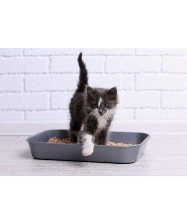 Premium Urinary Tract Infection Support for Cats - 3 Bottles of Chews (270 Treats) - Advanced UTI Relief & Prevention - Buy Online on GoSupps.com