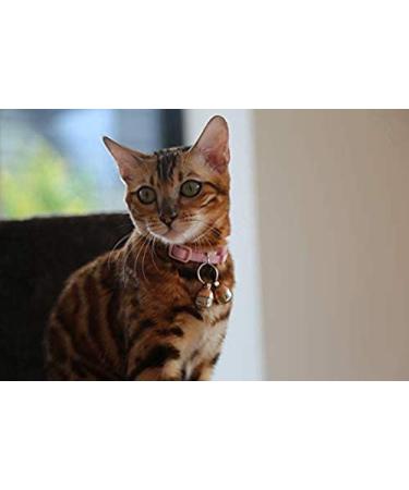 Beau's Bells Extra Loud Cat & Dog Bells - Handmade Copper Pet Tracker for Wildlife Safety - Buy Online on GoSupps.com