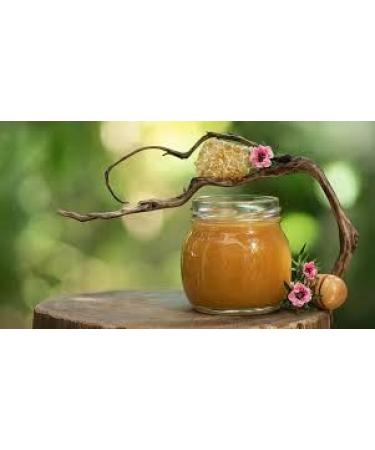 Generic Vitamin C With Hyaluronic Acid Manuka Honey Sweet Almond Oil Made In New Zealand (Pack Of 1) 1.01 Fl Oz - Buy Online on GoSupps.com