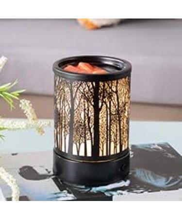 Hituiter Electric Wax Melt Warmer with Timer | Fragrance Warmer for Scented Wax Melts | 3/6/9 H Classic Timing | Night Light Design | Home Accessories - Buy Online on GoSupps.com