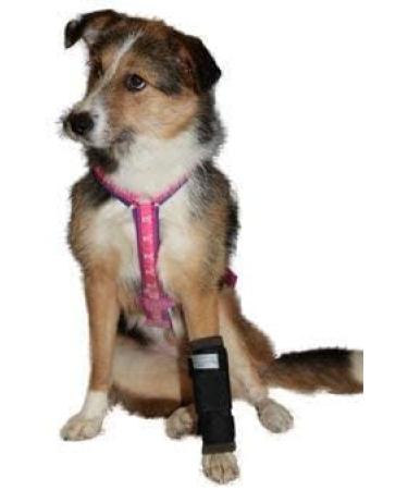 Nature Pet Medium Front Leg Bandage for Dogs - Leak Protection & Post-Surgery Bandage (L) | International Shipping - Buy Online on GoSupps.com