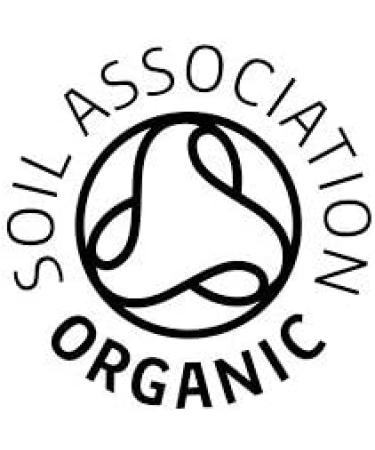 Equinox Kombucha Original Drink 275 ml - Buy Online on GoSupps.com