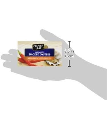 Clover Leaf Smoked Oysters Spicy Chili in Sunflower Oil - 85g 24 Count - Canned Oysters - High in Protein - 13g of Protein Per 65g Serving Drained - Excellent Source of Iron - Hardwood Smoked 85 g (Pack of 24) - Buy Online on GoSupps.com