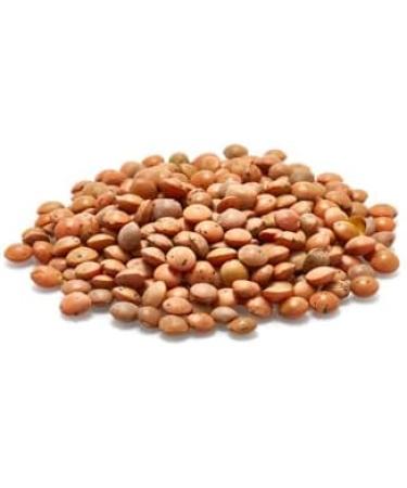Yupik Organic Brown Lentils 1kg Non-GMO Vegan Gluten-Free Kosher Raw Salt-Free High in Fiber & Protein Ideal for Soups Salads & Meat Alternatives 1 kg (Pack of 1) - Buy Online on GoSupps.com