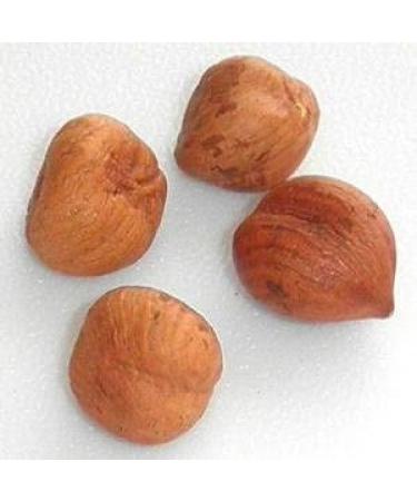 Bayside Candy Filberts Hazelnuts Whole Raw - 2LB - Buy Online on GoSupps.com