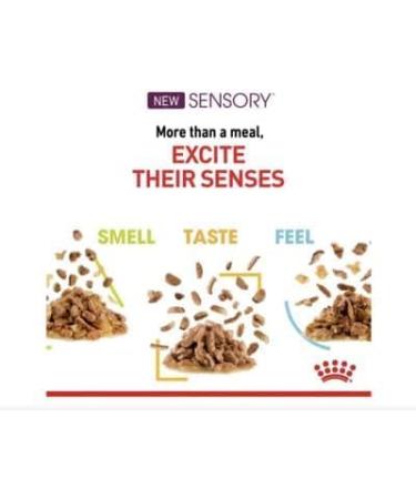 Royal Canin Sensory Smell in Jelly Wet Cat Food 85g (Pack of 24) - Buy Online on GoSupps.com