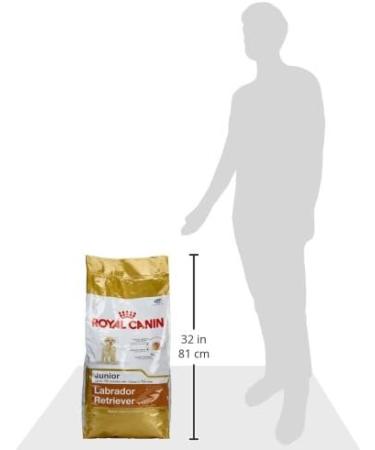 Royal Canin Dog Food Labrador Retriever Puppy Dry Mix 12kg 12 kg (Pack of 1) - Buy Online on GoSupps.com