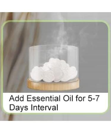 10 Pieces Rose DIY Essential Scented Room Scents for Your Living Room Bathroom and Kitchen Wedding Guests Gift - Buy Online on GoSupps.com