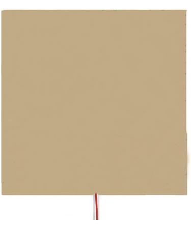 RANRAO Waterproof Silicone Heating Pad 300x300mm 110V - Ideal for 3D Printer Parts & Hot Beds - Buy Online on GoSupps.com