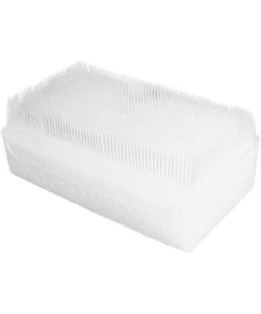 FveBzem Disposable Surgical Scrub Brush - Sterile Double-Sided Sponge Brushes with Nail Clippers | Hands Cleaning Scrubber | Blister Packed Surgical Brushes - Buy Online on GoSupps.com