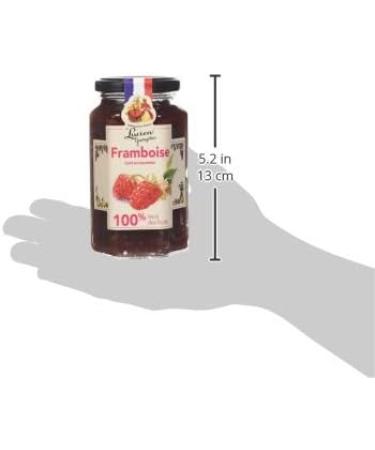  LUCIEN GEORGELIN Lucien Georgelin 100% Fruit Raspberry 300 g - Pack of 6 - Buy Online on GoSupps.com
