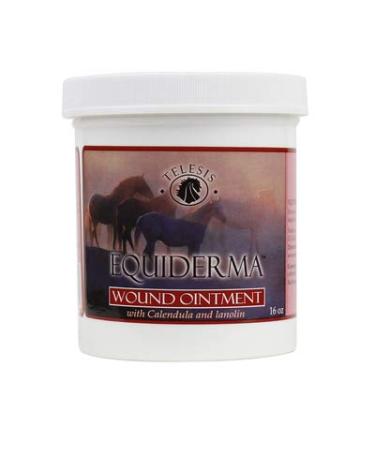 EQUIDERMA Wound Ointment 16oz