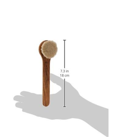 Province Apothecary Women's Daily Glow Facial Dry Brush - One Size | Achieve Radiant Skin - Buy Online on GoSupps.com