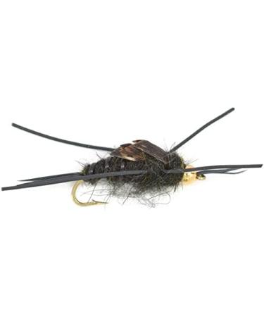 Bead Head Nymph Fly Fishing Flies - Kaufmann's Black Stone with Rubber Legs - Size 8 Hook - 12 Stonefly Wet Flies - Buy Online on GoSupps.com