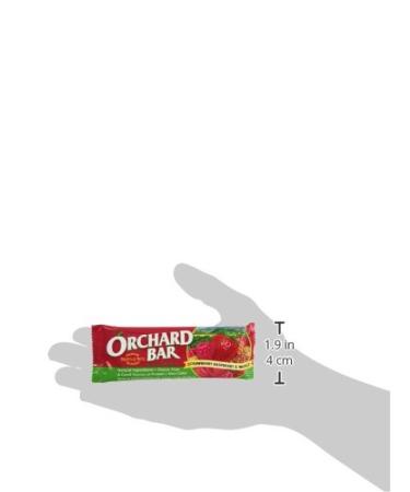 Orchard Bars Non-GMO Strawberry Raspberry Walnut Bars - 12 Pack 1.4oz - Buy Online on GoSupps.com