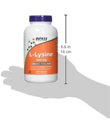 NOW L-Lysine 500mg | 250 Capsules | Premium Quality | Boost Immunity | Support Skin Health | Dietary Supplement - Buy Online on GoSupps.com