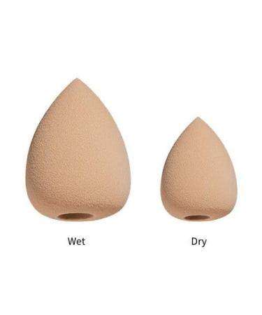 Beauty PURE Series Halo Makeup Blender | Vegan & Cruelty-Free Sponges for Foundations Powders & Creams | Long-Lasting Clean - Buy Online on GoSupps.com