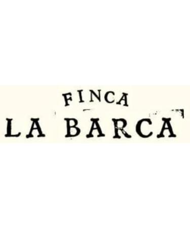 Olive Oil Smoked 500 ml. bottle from Spain - Buy Online on GoSupps.com