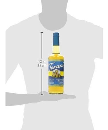 Torani Sugar Free Classic Hazelnut Syrup 750ml Syrup 750.0 ml (Pack of 1) - Buy Online on GoSupps.com