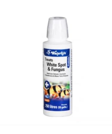 Waterlife Protozin Whitespot/Fungus Treatment, 100 ml 1 100 ml (Pack of 1)
