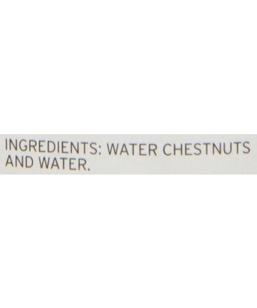 Dynasty Canned Whole Water Chestnuts  8-Ounce (Pack of 12) - Buy Online on GoSupps.com