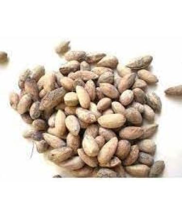 Neel Ayurvedics Neem Seeds Limid Back Pager 300 GM - Buy Online on GoSupps.com
