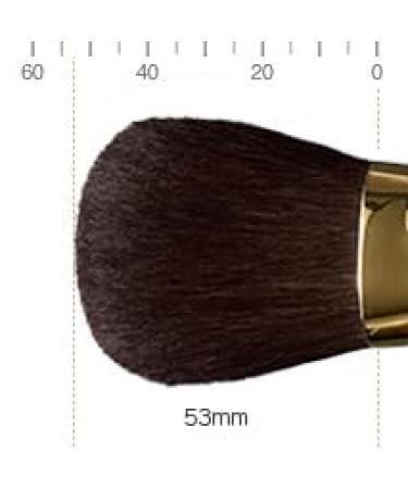BISYOD Grand Series Finishing Powder Brush - Round Type Black | Best International Shipping & Quality Makeup Tools - Buy Online on GoSupps.com