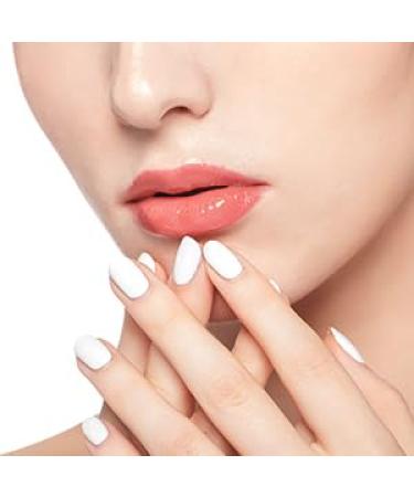 Professional Travel Lip Brush - Vegan Cruelty Free Makeup Applicator for Lipstick & Gloss - Black Cosmetic Tool Kits - Buy Online on GoSupps.com
