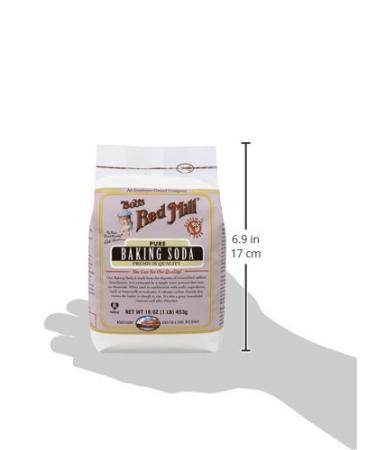 Bob's Red Mill Baking Soda Gluten-Free 2/16oz - Packaging May Vary - Buy Online on GoSupps.com