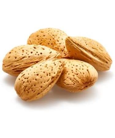 Yupik California Almonds in Shell 400 G Gluten-Free Kosher Raw Good Source of Protein Fiber Iron & Calcium Low in Carb Almonds 400 g (Pack of 1) - Buy Online on GoSupps.com