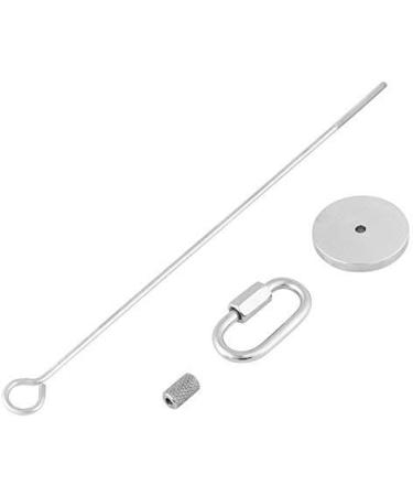 Parrot Bird Food Stick Holder Fruit Vegetable Holder Stainless Steel Skewer Hanging Food Feed Tool for Parrot Budgies Parakeet Cockatiels Conure Lovebirds Finch Canary Pigeon Hamster Rat Healthy (L) - Buy Online on GoSupps.com