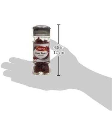  Ducros Ducros Whole Rose Berries 20 g - Pack of 3 - Buy Online on GoSupps.com
