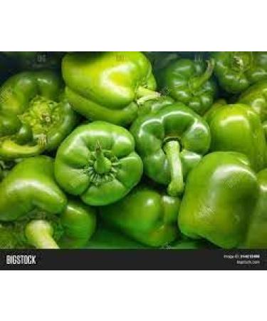 Seelans Paprica Green | 1KG | Green Capsicum | 100% Fresh Vegetable | Indian Origin Next Day Shipping - Buy Online on GoSupps.com