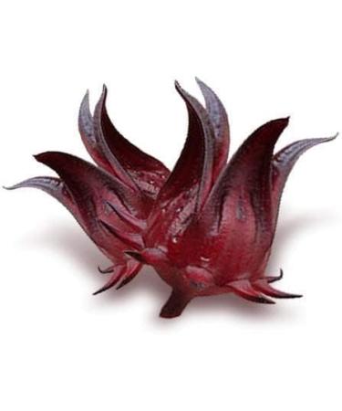  AOZA AOZA Sacred Natural Hibiscus Powder - 200g (Sabdariffa - Edible Quality 100% Pure) - Buy Online on GoSupps.com