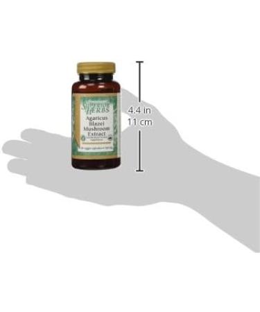 Agaricus Blazei Mushroom Extract 500mg - 90 Capsules | Premium Immune Support Supplement - Buy Online on GoSupps.com