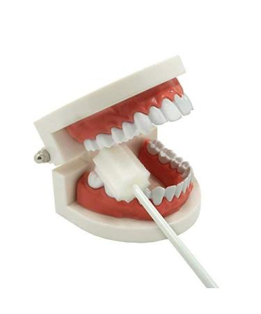 100 Count MUNKCARE Oral Swabs Disposable - Untreated & Unflavored Cleaning Sponges - Buy Online on GoSupps.com